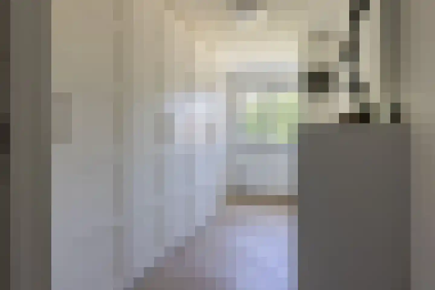 Moeckenkamp 14 De Steeg thumbnail 21