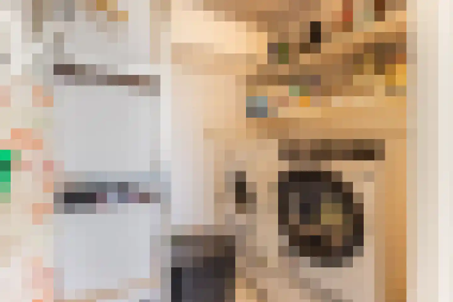 Moeckenkamp 14 De Steeg thumbnail 23