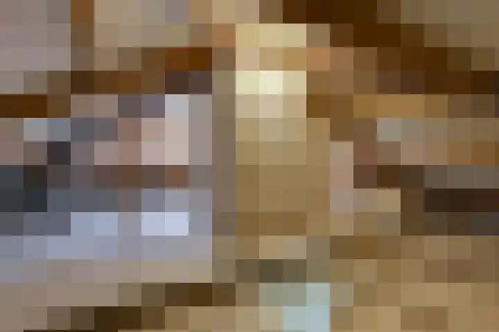 Moeckenkamp 14 De Steeg thumbnail 31