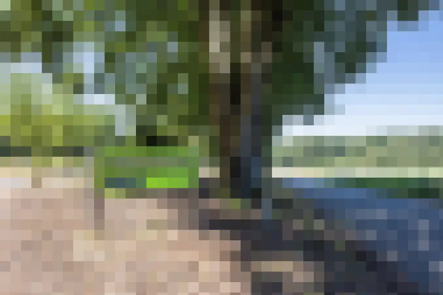 Moeckenkamp 14 De Steeg thumbnail 34