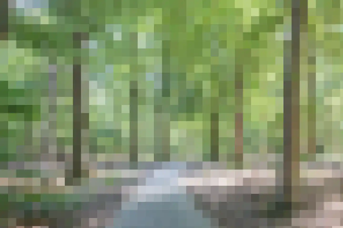 Moeckenkamp 14 De Steeg thumbnail 35