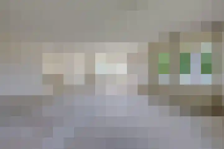 Moeckenkamp 14 De Steeg thumbnail 4