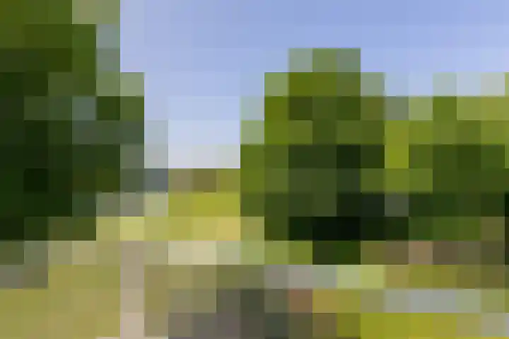Moeckenkamp 14 De Steeg thumbnail 5