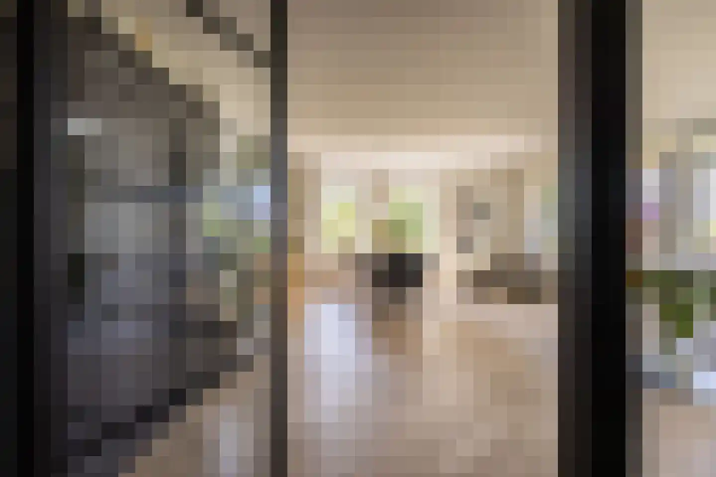 Moeckenkamp 14 De Steeg thumbnail 7