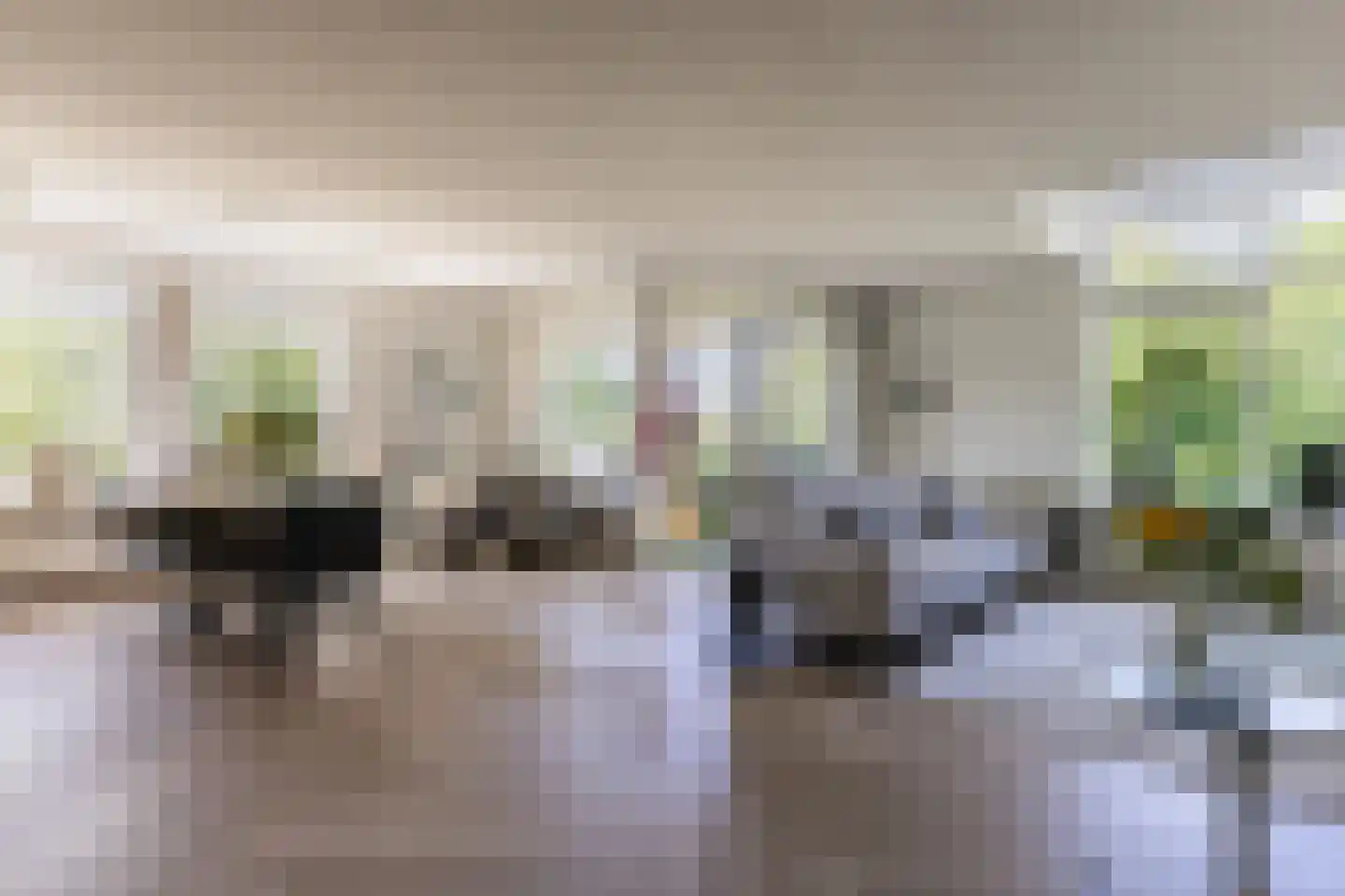 Moeckenkamp 14 De Steeg thumbnail 8