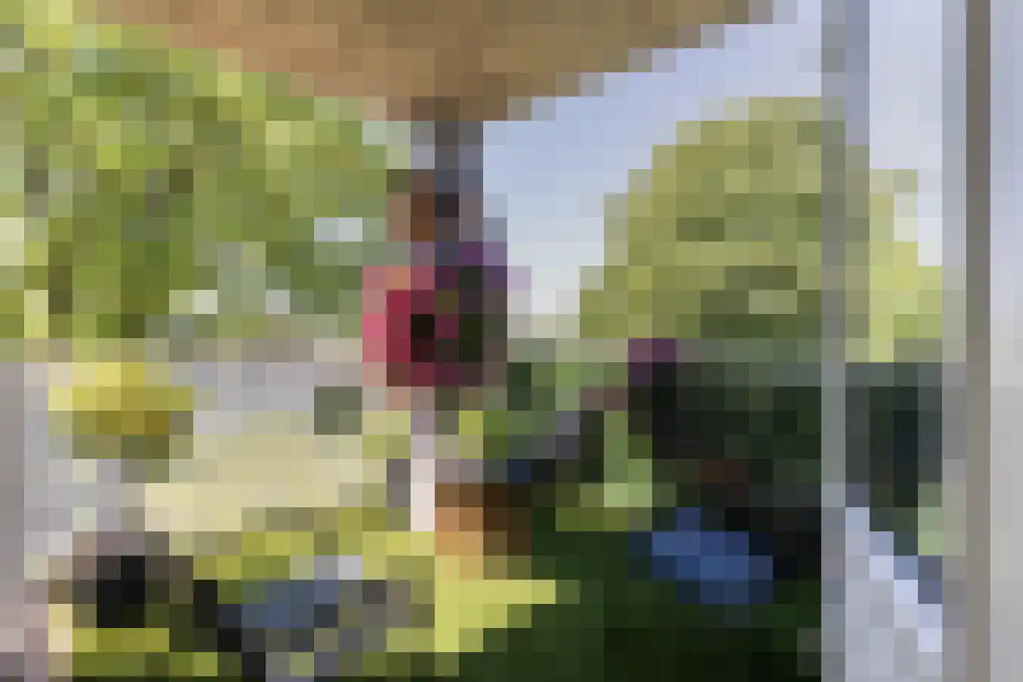 Moeckenkamp 14 De Steeg thumbnail 9
