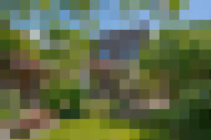 Moeder Lambertastraat 9 Zwolle thumbnail 4