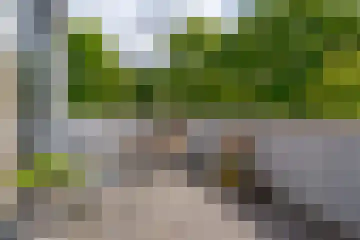 Moeder Lambertastraat 9 Zwolle thumbnail 48
