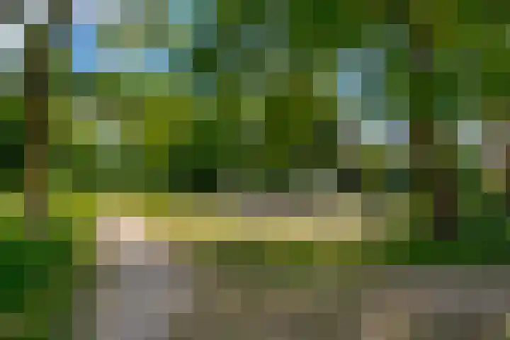 Moeder Lambertastraat 9 Zwolle thumbnail 6