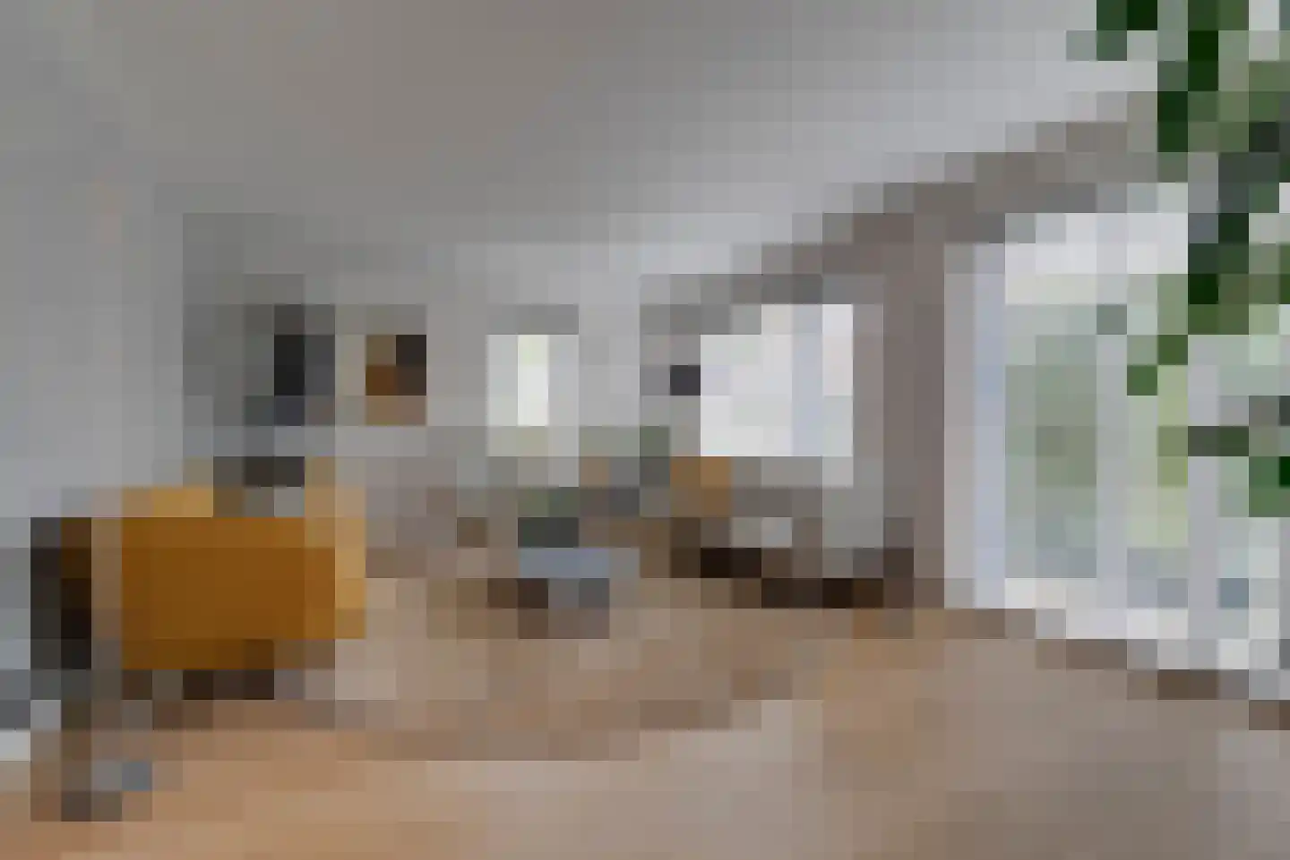 Moederkruid 9 Veenendaal thumbnail 10