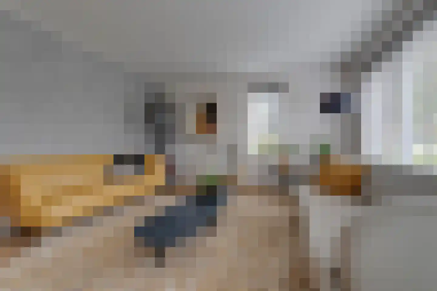 Moederkruid 9 Veenendaal thumbnail 11