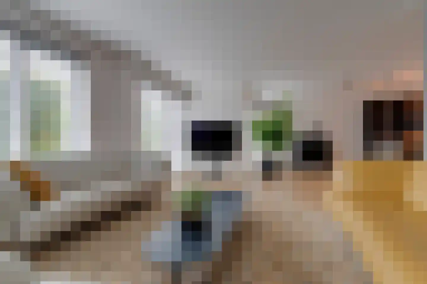 Moederkruid 9 Veenendaal thumbnail 13