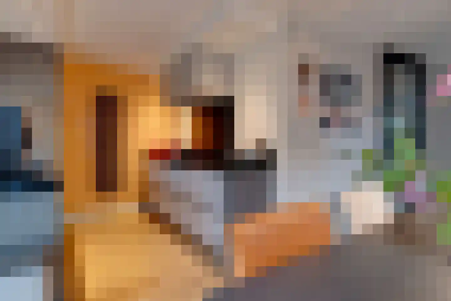 Moederkruid 9 Veenendaal thumbnail 17