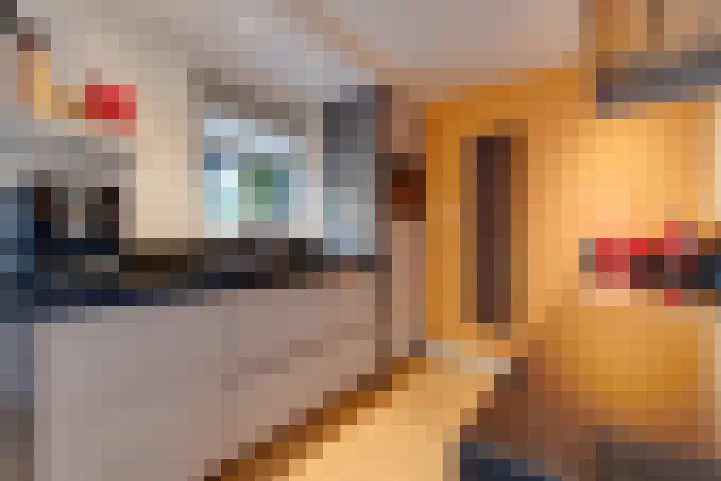 Moederkruid 9 Veenendaal thumbnail 19