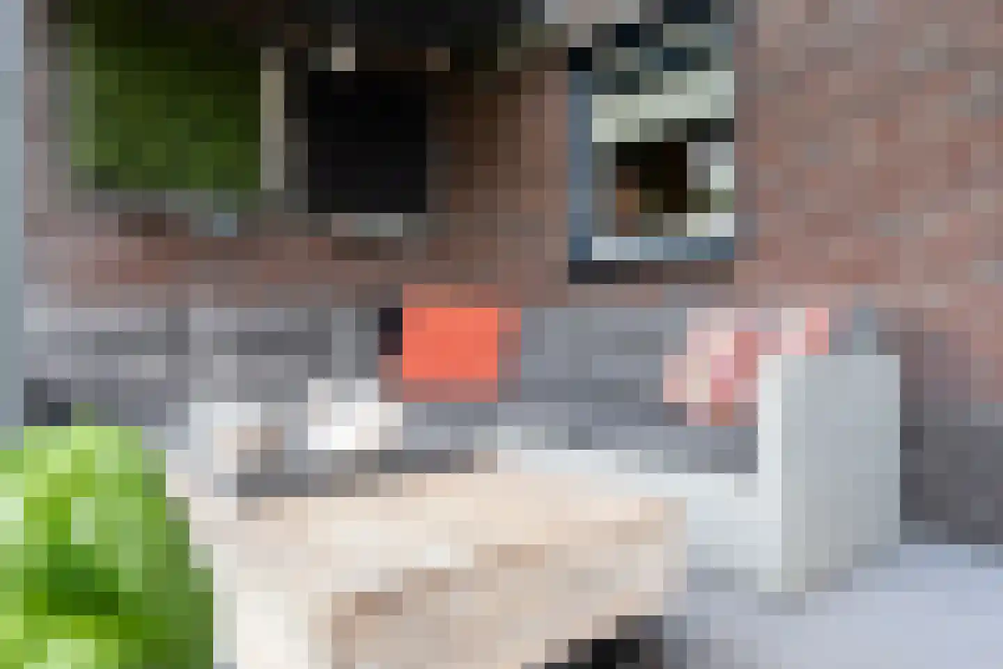 Moederkruid 9 Veenendaal thumbnail 22