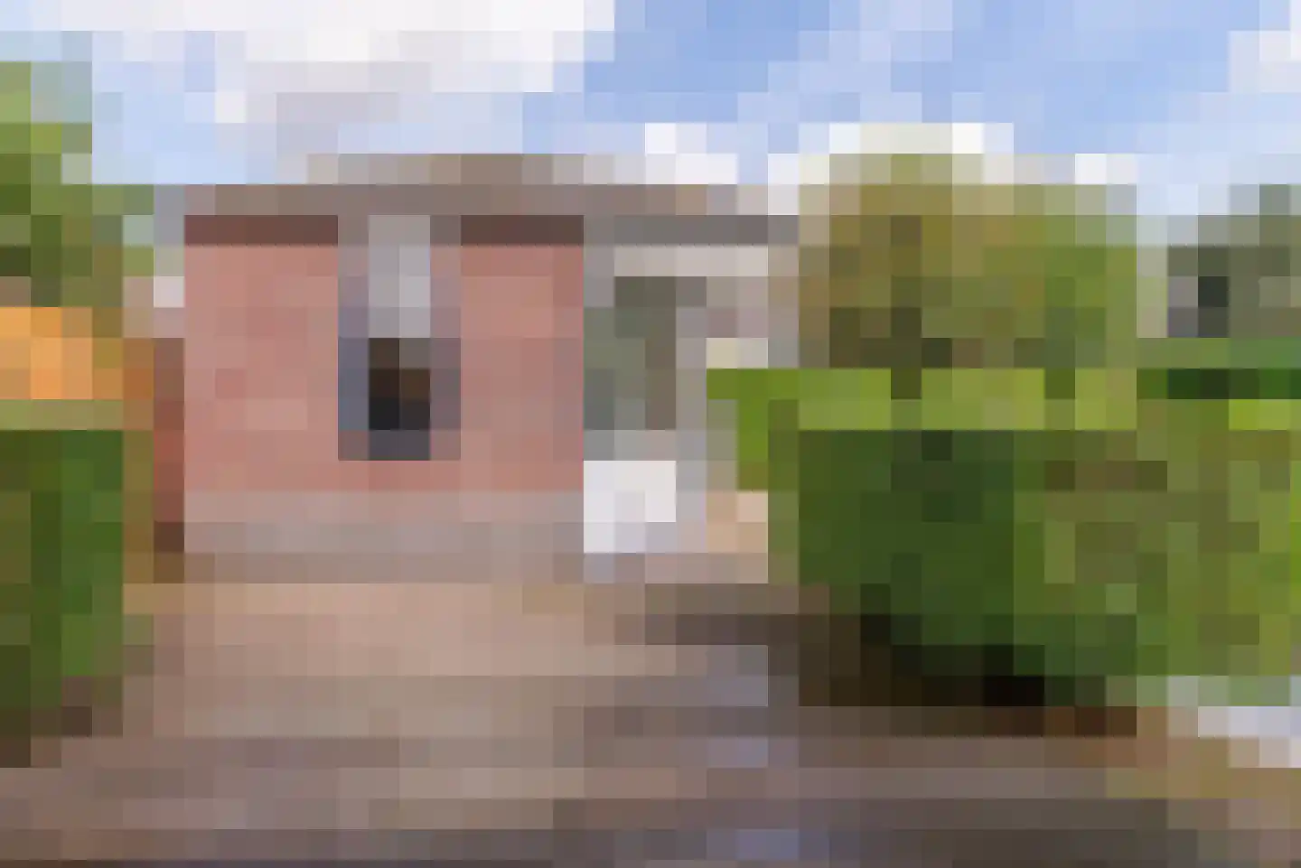 Moederkruid 9 Veenendaal thumbnail 23