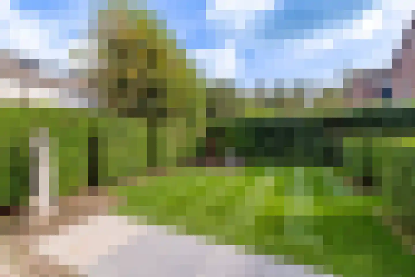 Moederkruid 9 Veenendaal thumbnail 24