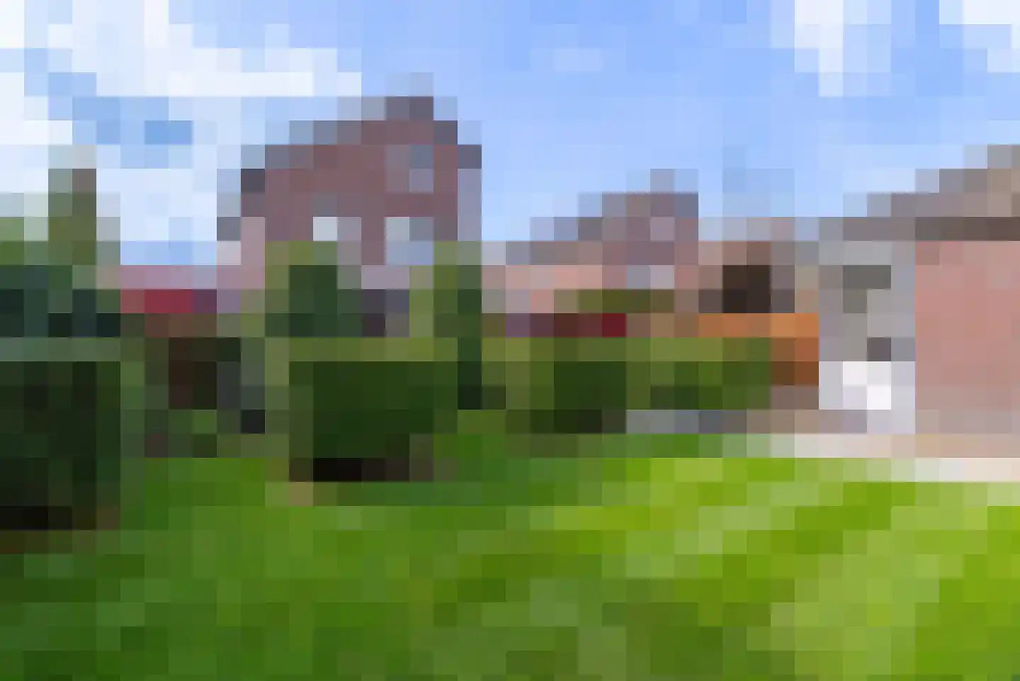 Moederkruid 9 Veenendaal foto 3