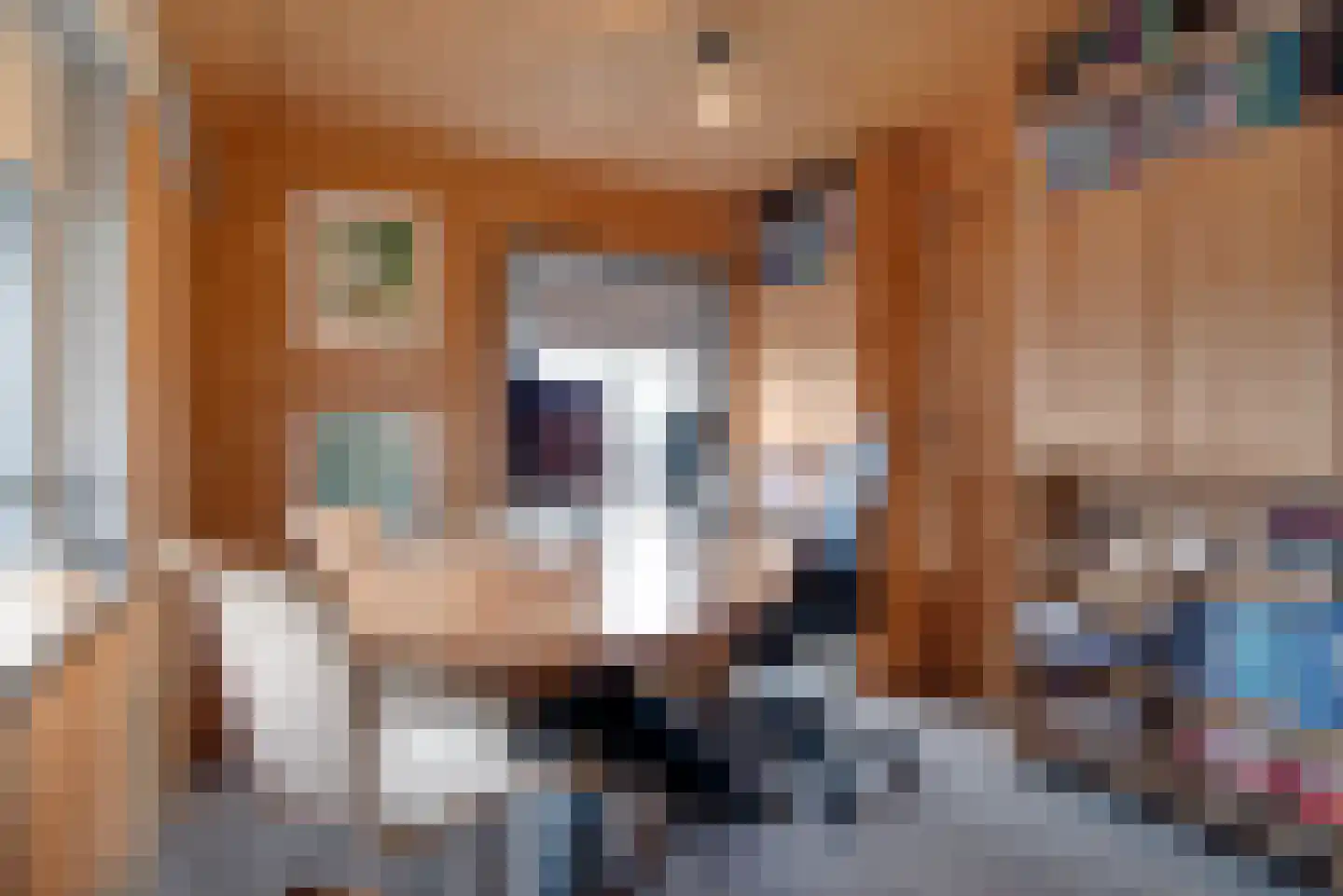Moederkruid 9 Veenendaal thumbnail 42
