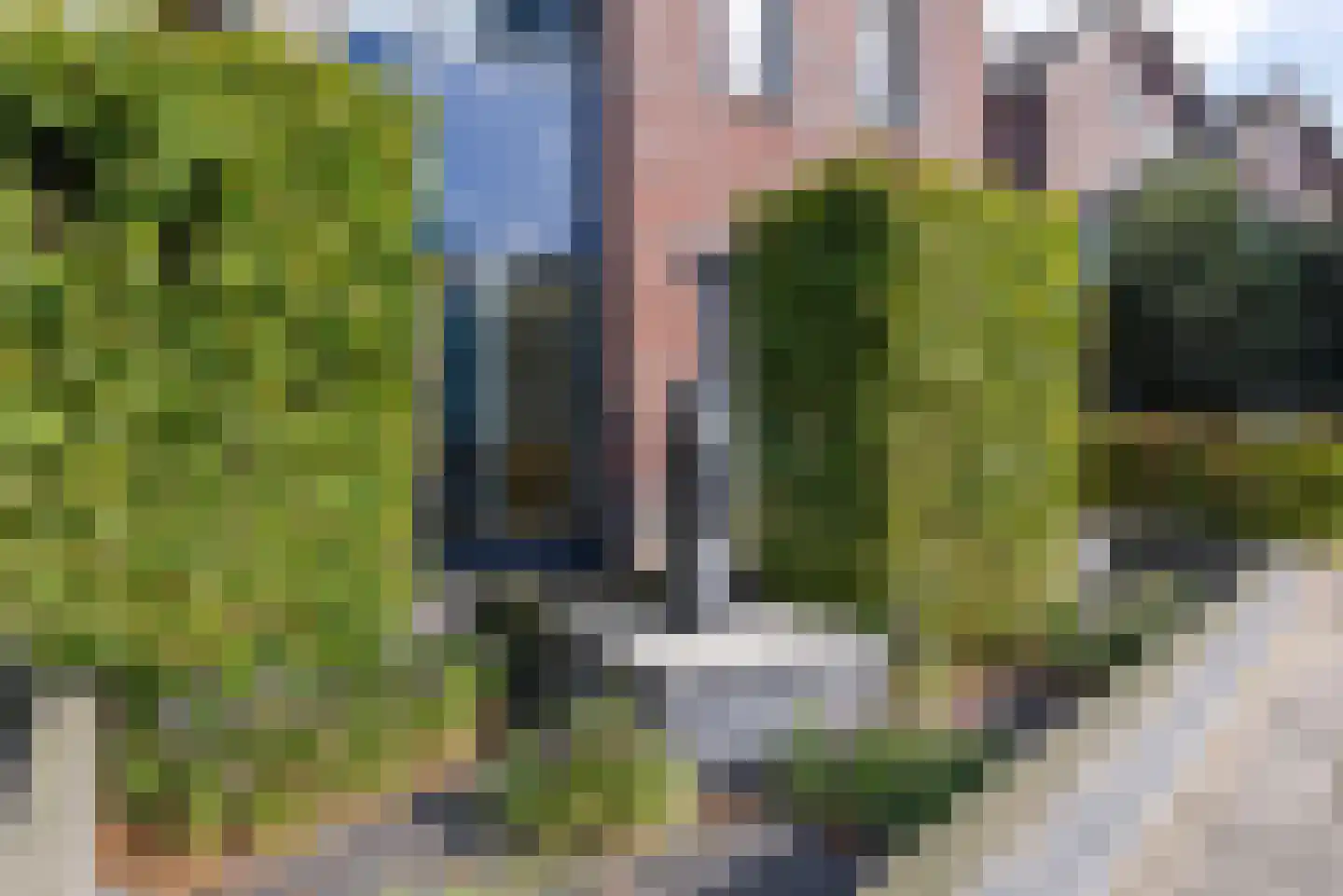 Moederkruid 9 Veenendaal thumbnail 50