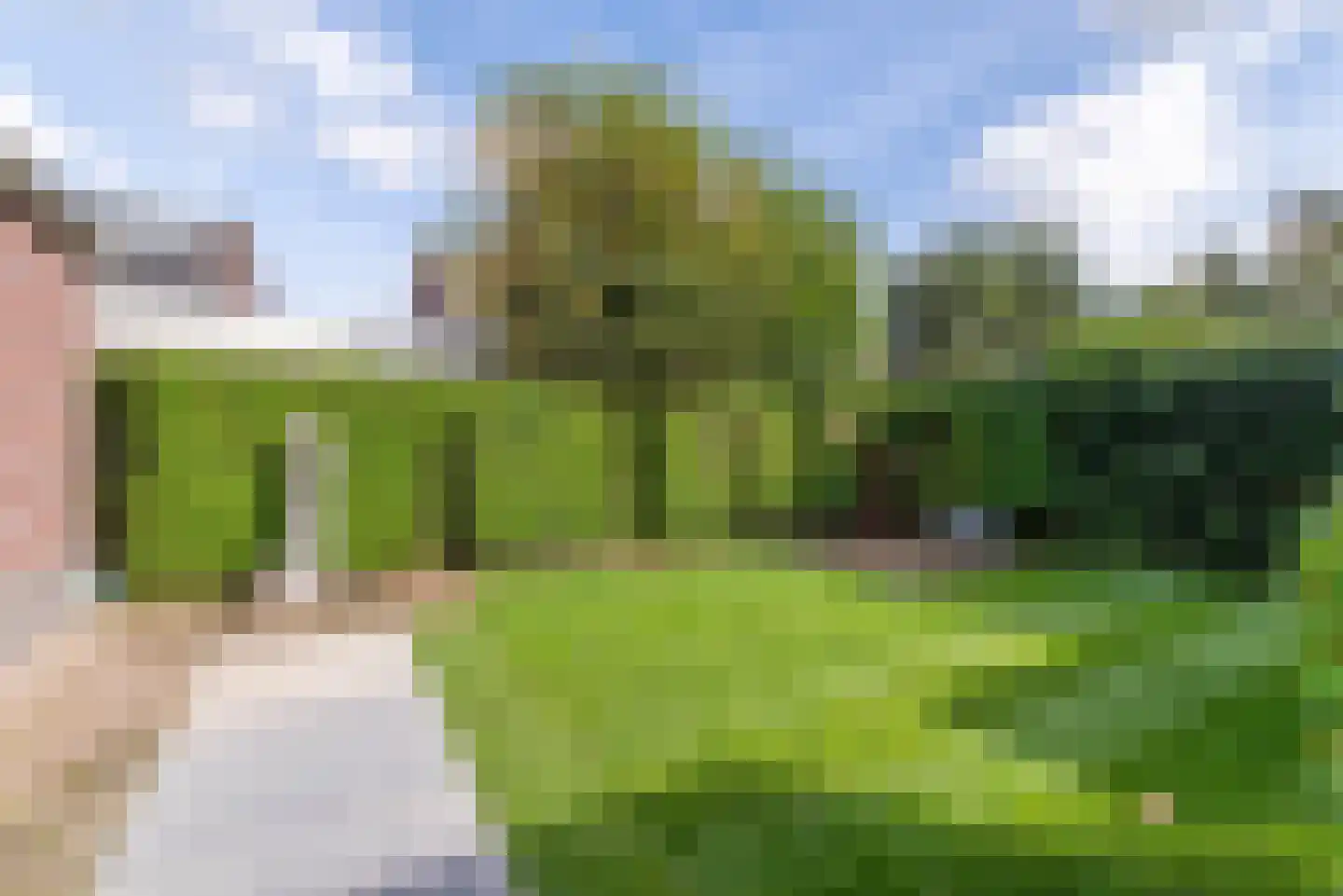 Moederkruid 9 Veenendaal thumbnail 51