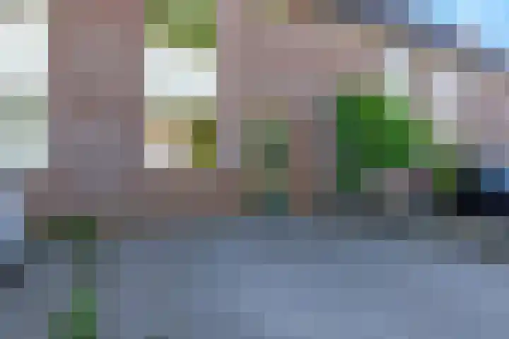 Moeflonlaan 10 Lunteren thumbnail 26