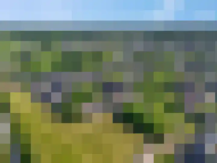 Moeflonlaan 10 Lunteren thumbnail 31