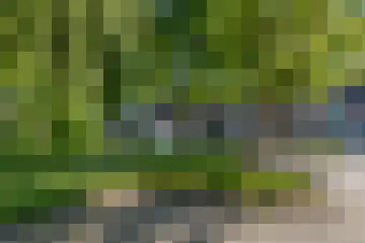 Moeflonlaan 10 Lunteren thumbnail 33