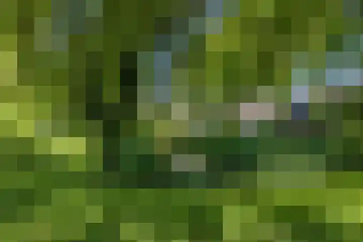 Moeflonlaan 10 Lunteren thumbnail 34