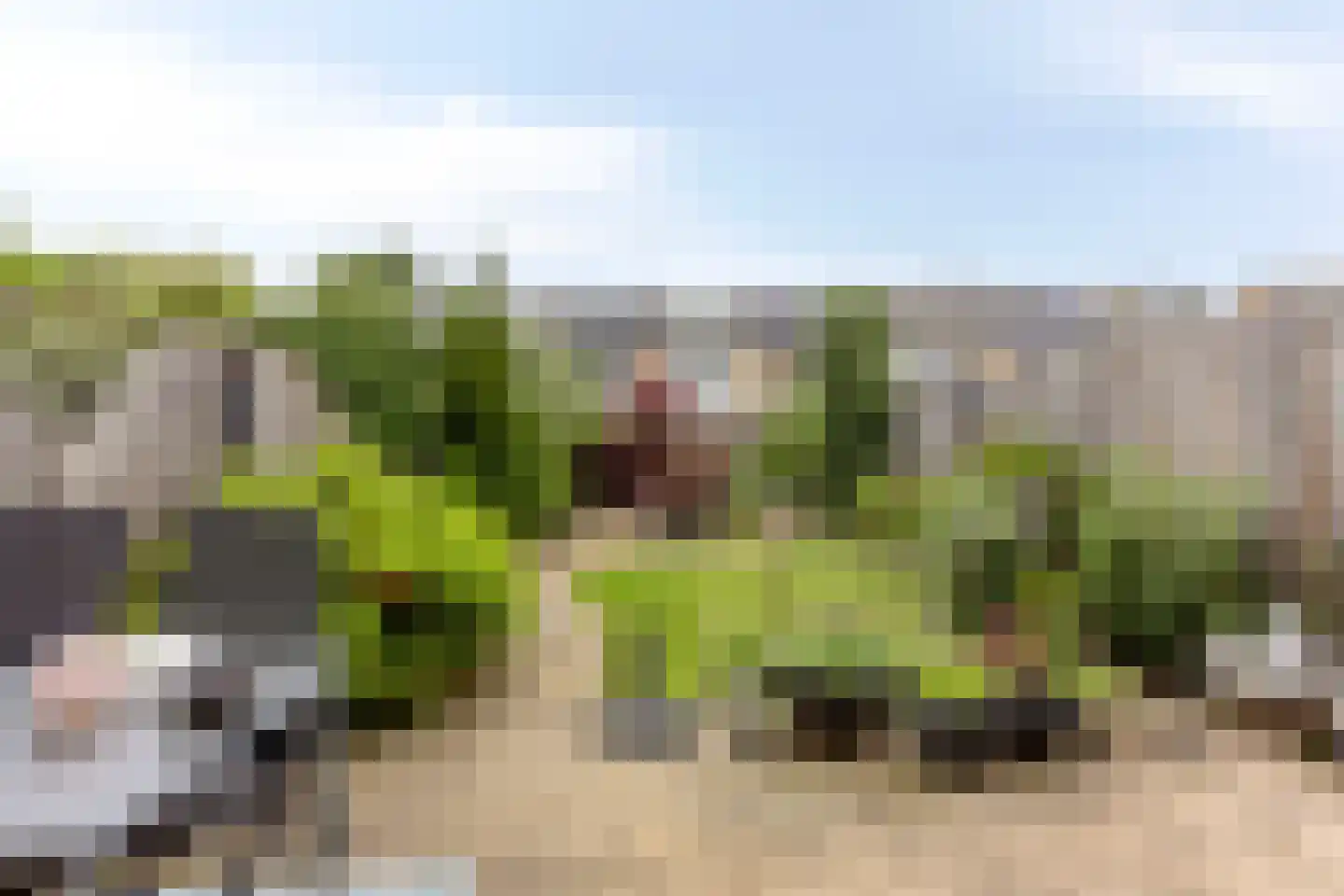 Moeflonstraat 11 Almere thumbnail 25