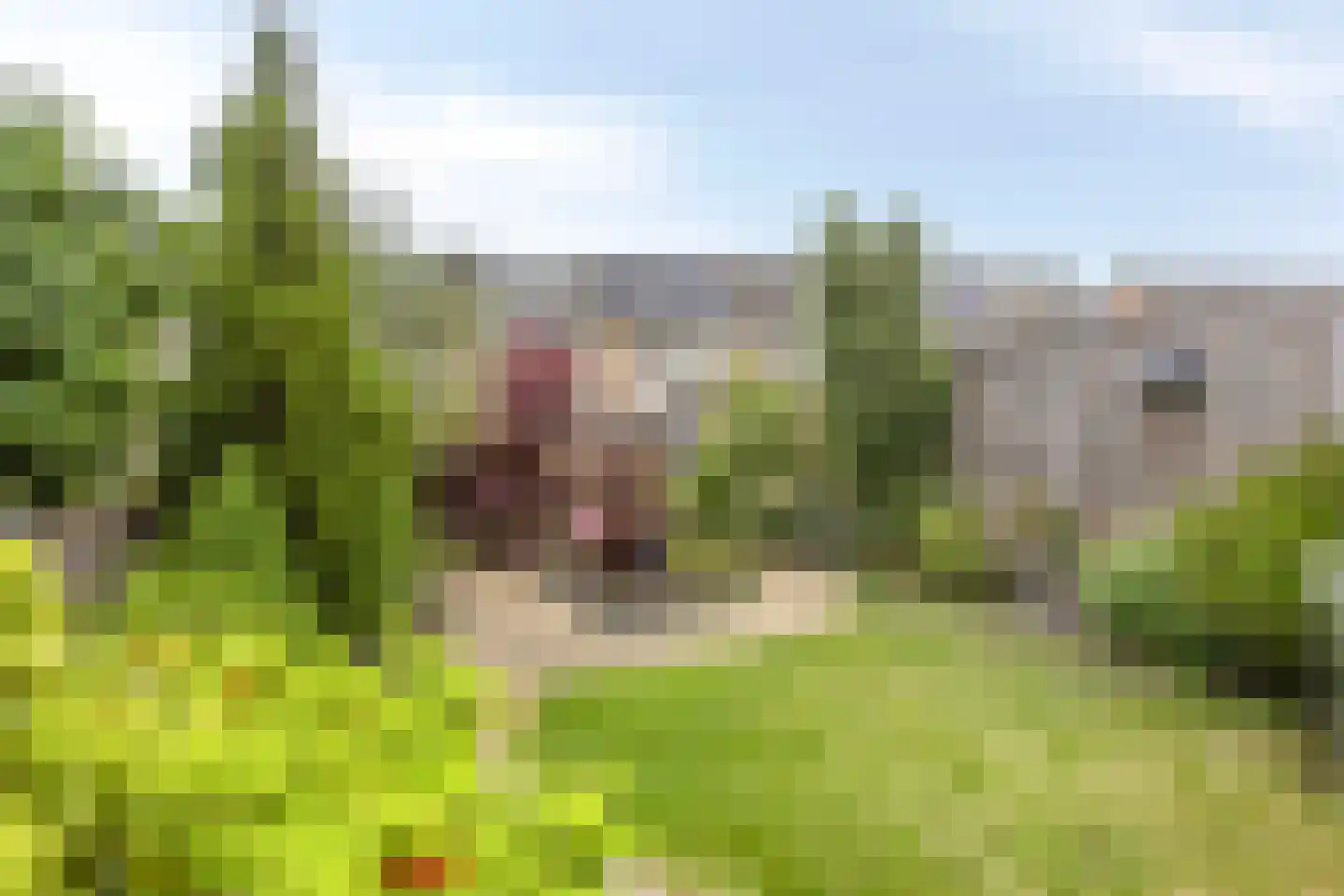 Moeflonstraat 11 Almere thumbnail 26