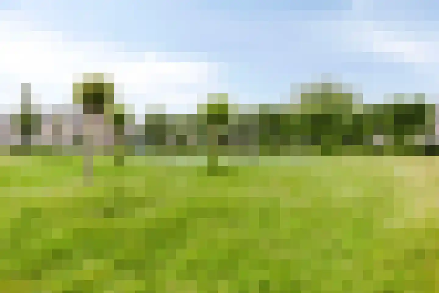 Moeflonstraat 11 Almere thumbnail 31