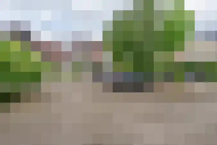 Moeflonstraat 19 Nijmegen thumbnail 39