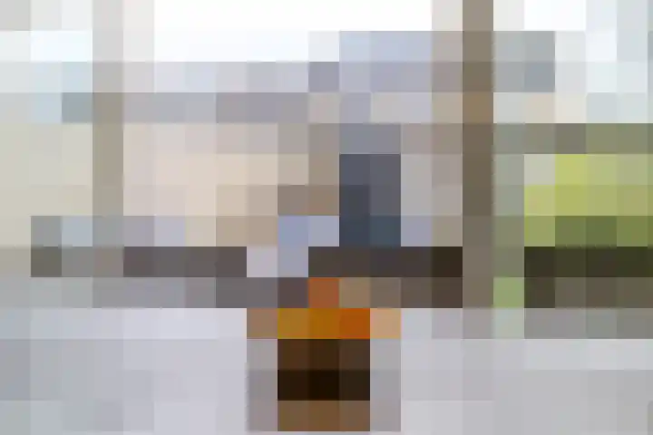 Moeflonstraat 2 Almere thumbnail 18