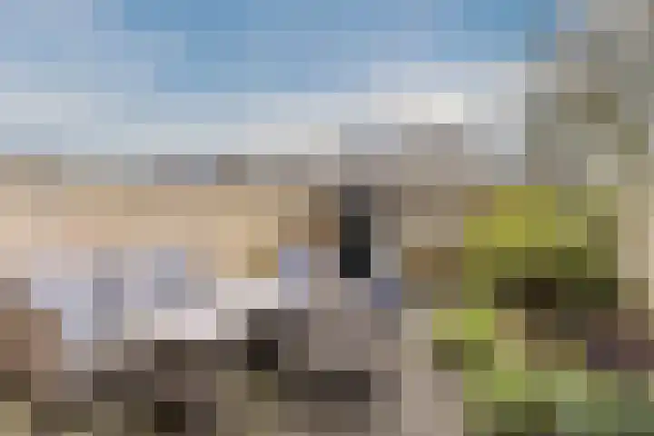 Moeflonstraat 2 Almere thumbnail 4