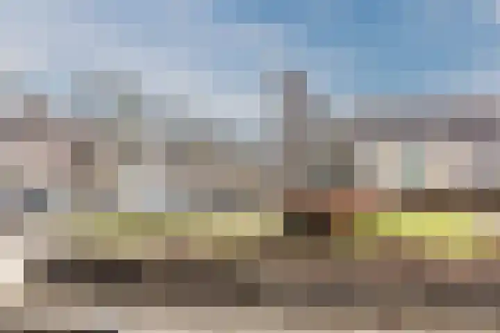 Moeflonstraat 2 Almere thumbnail 50