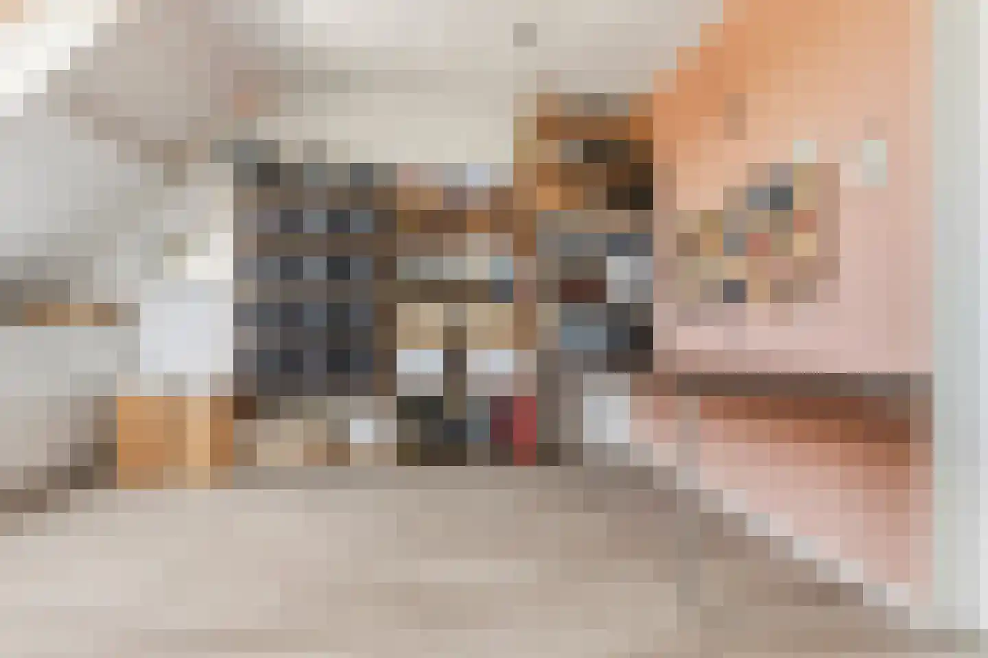 Moeflonstraat 29 Nijmegen thumbnail 32
