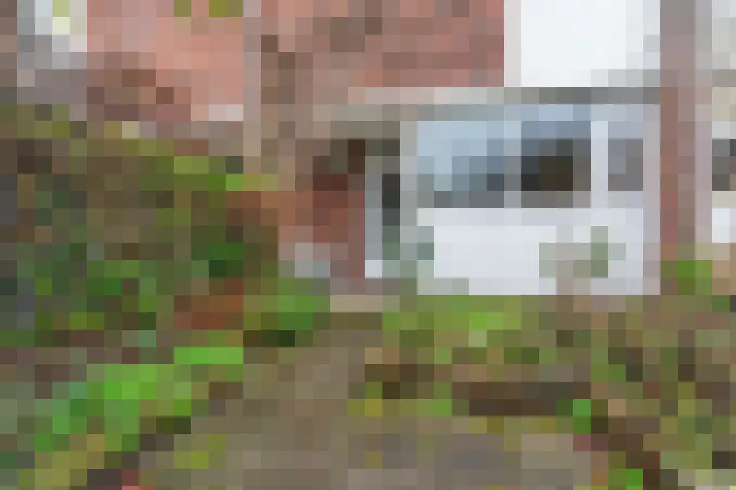 Moeflonstraat 39 Nijmegen thumbnail 5
