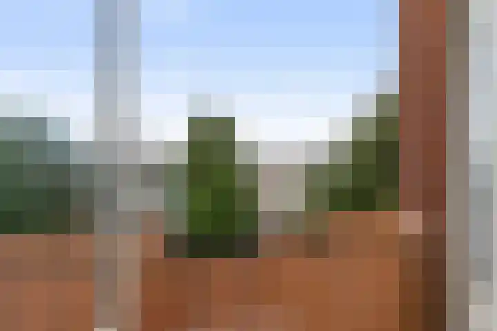 Moeflonstraat 41 Apeldoorn thumbnail 24