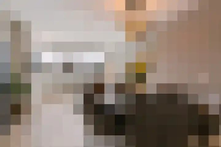 Moeflonstraat 41 Apeldoorn thumbnail 7