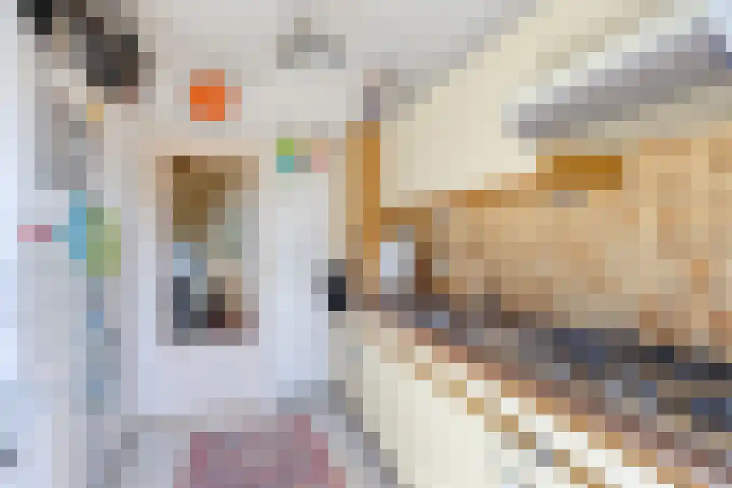 Moeflonstraat 5 Apeldoorn thumbnail 10