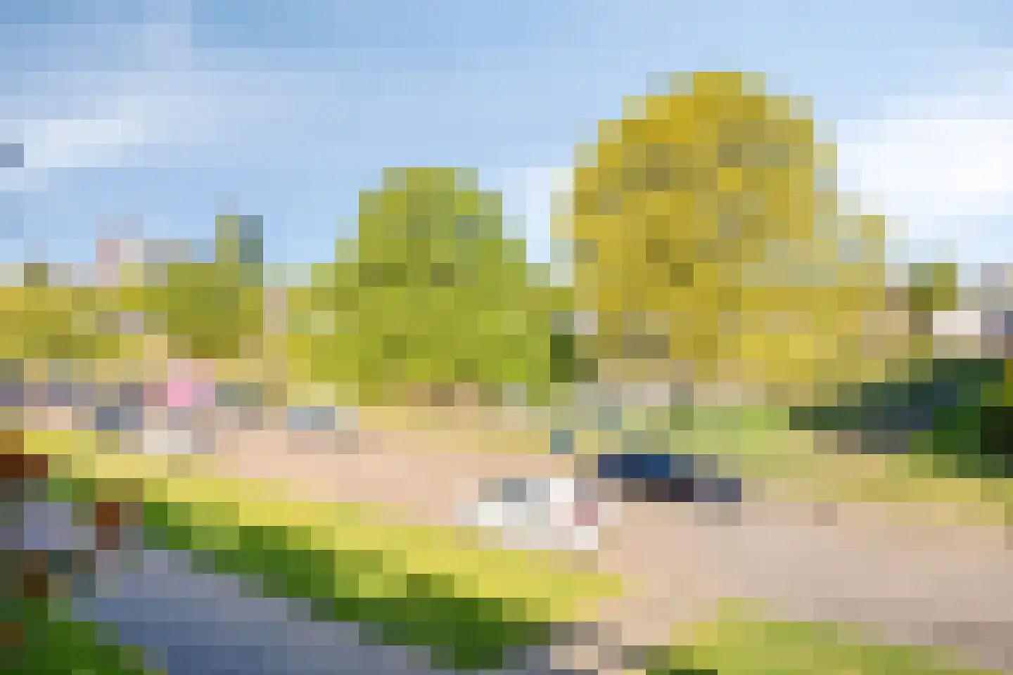 Moeflonstraat 5 Apeldoorn thumbnail 24