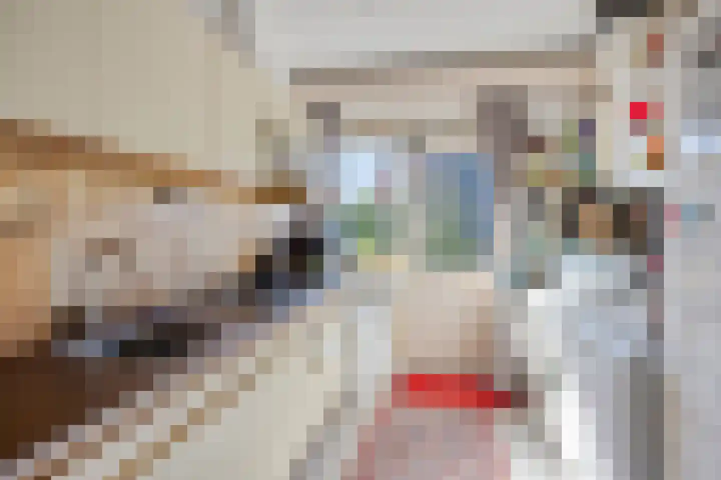 Moeflonstraat 5 Apeldoorn thumbnail 9