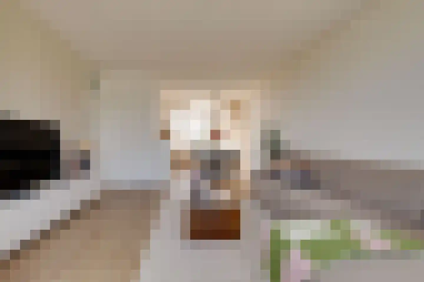 Moeflonstraat 71 Apeldoorn thumbnail 7