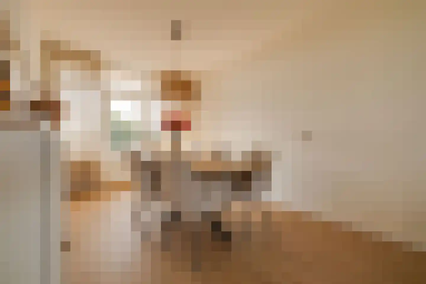 Moeflonstraat 71 Apeldoorn thumbnail 8