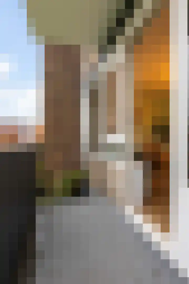 Moeflonstraat 9 Apeldoorn thumbnail 14