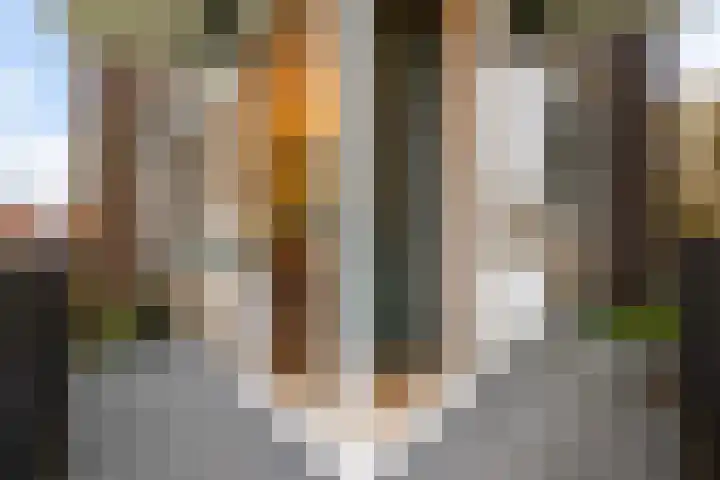 Moeflonstraat 9 Apeldoorn thumbnail 15