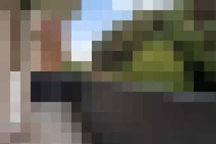 Moeflonstraat 9 Apeldoorn thumbnail 34