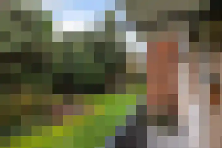 Moeflonstraat 9 Apeldoorn thumbnail 35