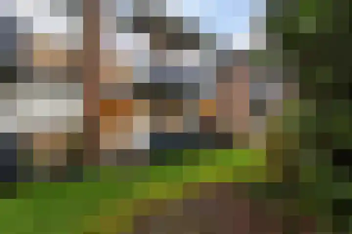 Moeflonstraat 9 Apeldoorn thumbnail 36